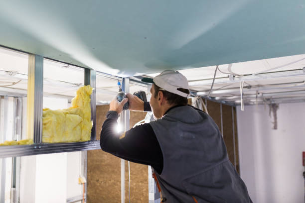 Best Radiant Barrier Insulation  in Chesterfield, MO