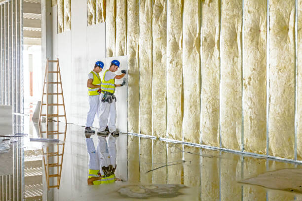 Best Blown-In Insulation  in Chesterfield, MO